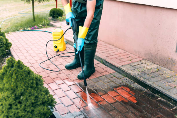 Best Soft Washing for Delicate Surfaces in Speer, NC